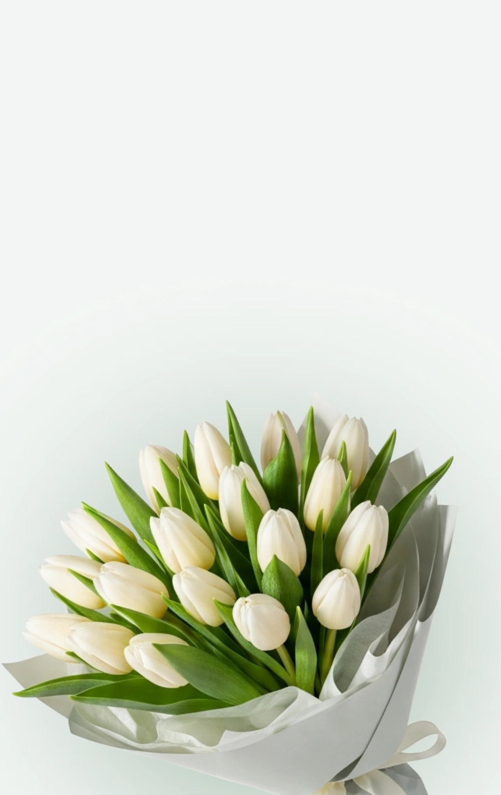 ТЮЛЬПАНЫ СОБСТВЕННОГО ПРОИЗВОДСТВА