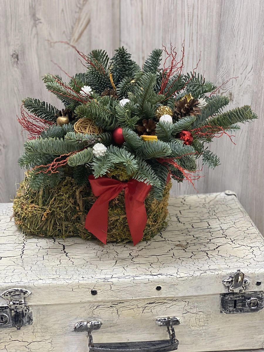 Композиция из нобилиса 6