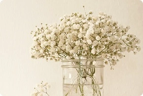 Рады приветствовать 1