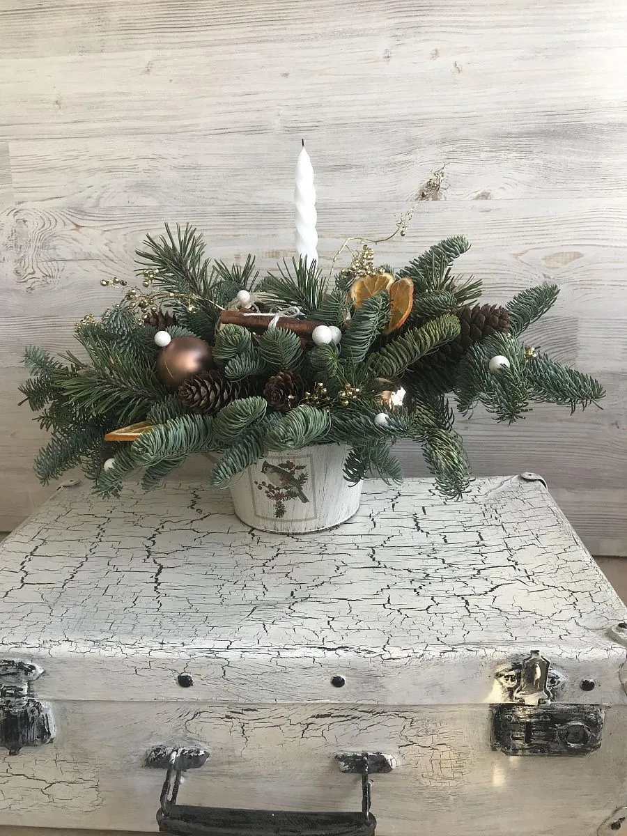 Композиция из нобилиса 17