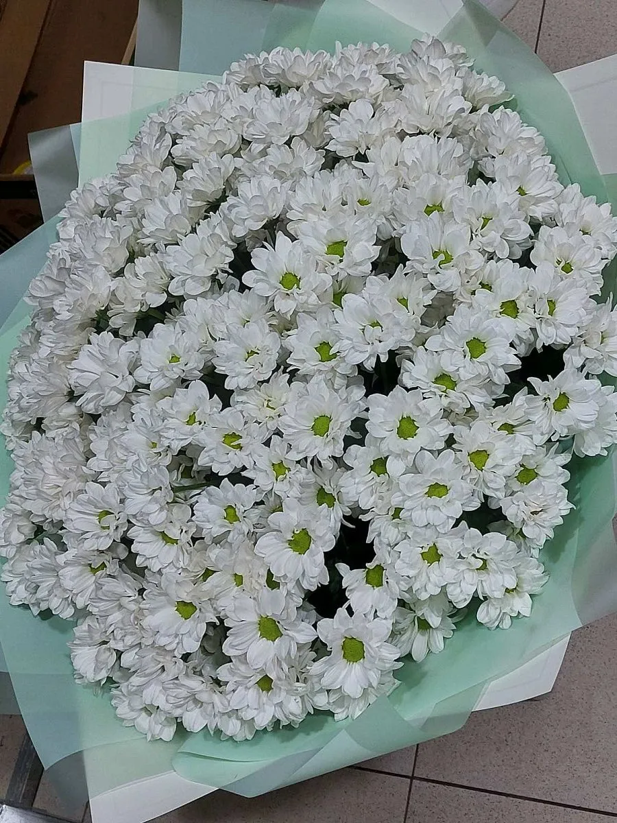 Огромный букет хризантем №34