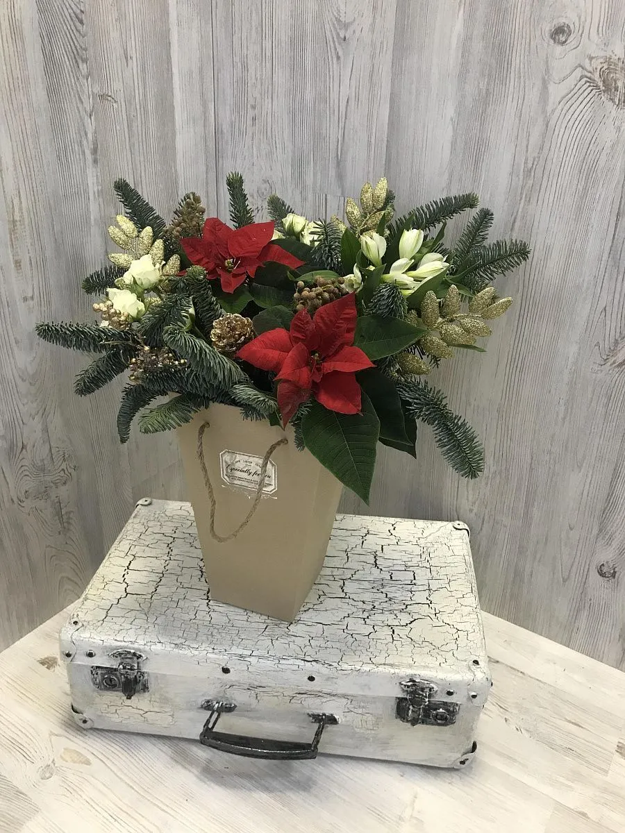 Композиция из нобилиса 16