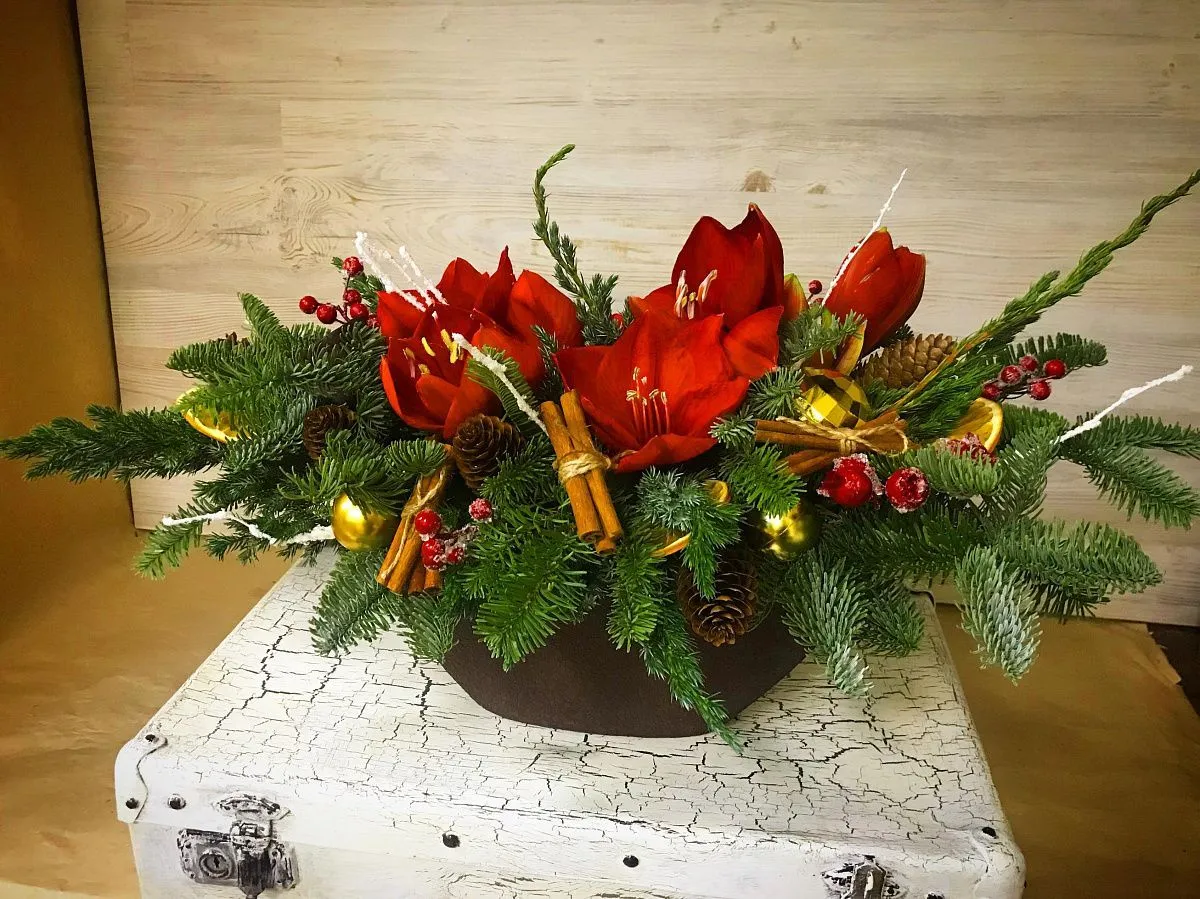 Композиция из нобилиса 10