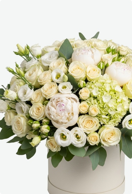 Композиции